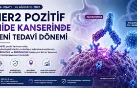 HER2 Pozitif Mide Kanserinde Yeni Dönem: FDA’dan Zanidatamab ve Tislelizumab Onayı